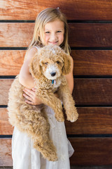 Wall Mural - Little Girl Holding Golden Doodle Puppy