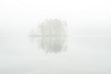 Trees  Being Reflected On A Body Water Through The Foggy Air