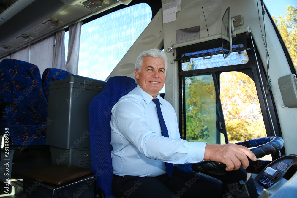 Professional bus driver at steering wheel. Passenger transportation ...