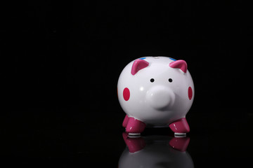 Piggy bank isolated on color background,