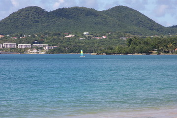 Wall Mural - Caribbean beach