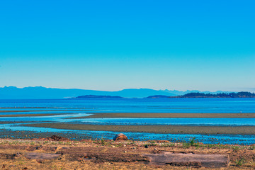 Wall Mural - Rathtrevor Beach provincial park during low tide in Vancouver Island