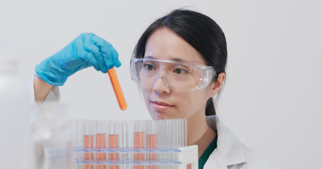 Wall Mural - Scientist doing experiment in Laboratory