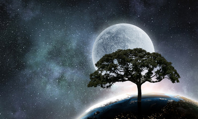 Wall Mural - lonely tree in night