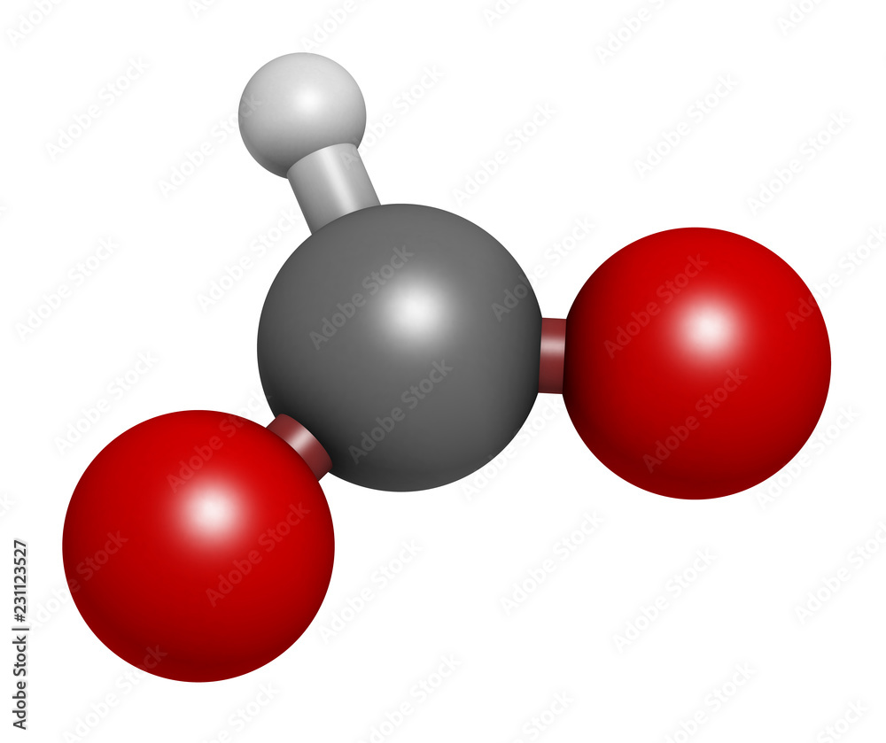 Formate anion, chemical structure. 3D rendering. Atoms are represented as spheres with conventional color coding: carbon (grey), hydrogen (white), oxygen (red).