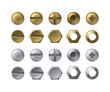 Steel and brass heads