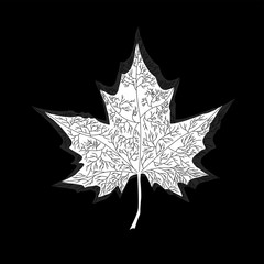 Wall Mural - maple leaf on white background. vector illustration. eps 10