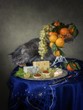 Gastronomic still life and hungry kitten