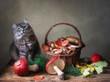 Still life with mushrooms and curious kitty