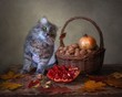 Still life with fruit and beautiful grey kitty