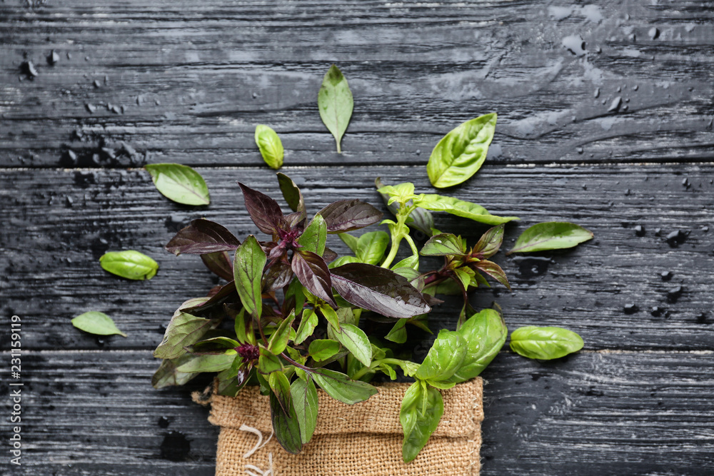 Bag with fresh aromatic basil on wooden table
