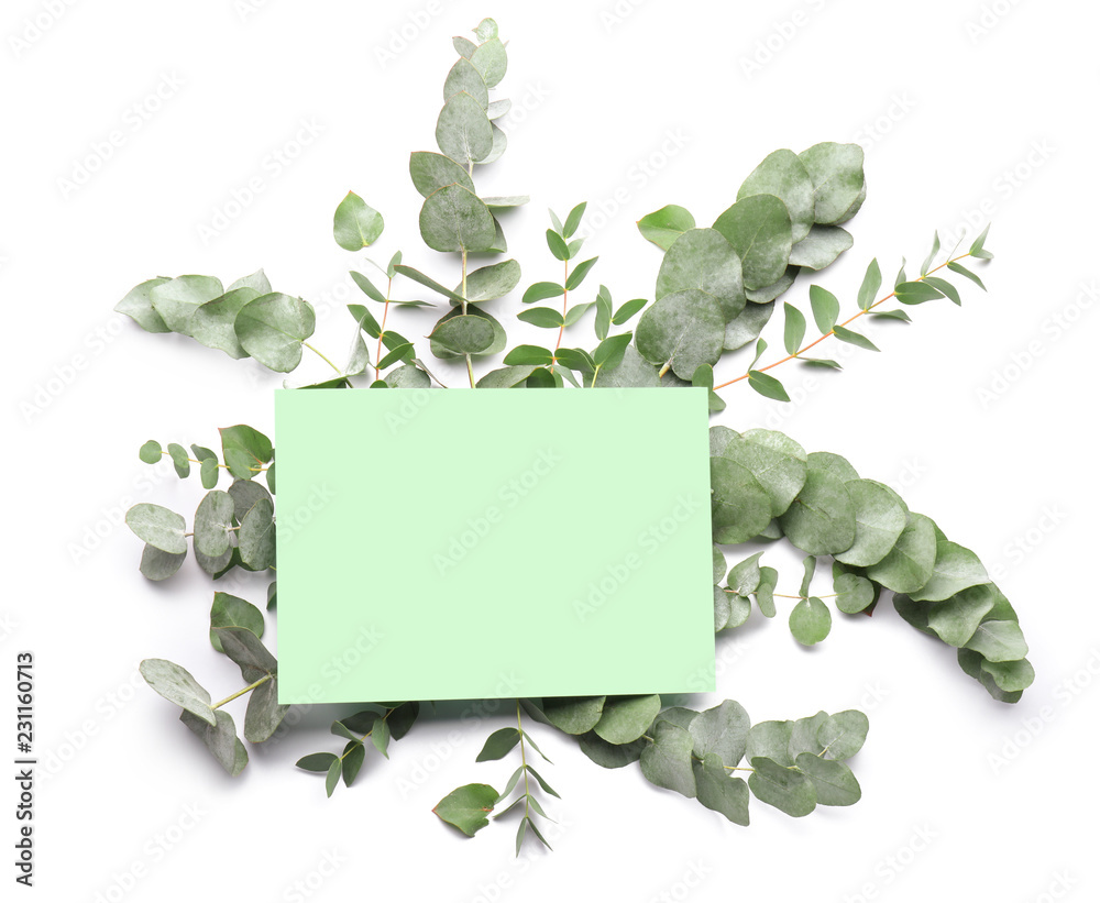 Green eucalyptus branches and paper card on white background