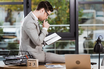 Wall Mural - side view of handsome businessman with notebook sitting at workplace at office