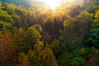 Luftbild eines Herbstwaldes im Sonnenaufgang