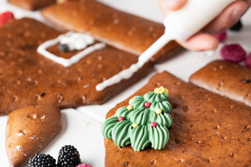 Wall Mural - young man making a gingerbread house