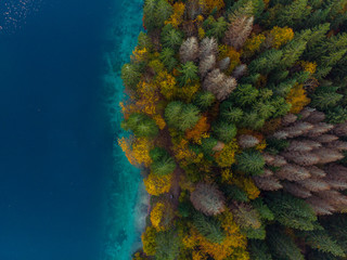 Wall Mural - Colorful forest by lake side, aerial from above