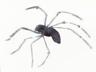 Wall Mural - running spider drawn by black watercolors