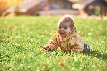 little baby boy crawling among the fallen leaves on the green lawn at sunny day