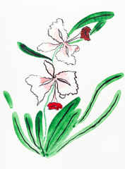 Wall Mural - color orchid flower drawn by watercolors