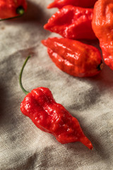 Wall Mural - Raw Organic Spicy Bhut Jolokia Ghost Peppers