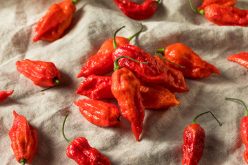 Wall Mural - Raw Organic Spicy Bhut Jolokia Ghost Peppers