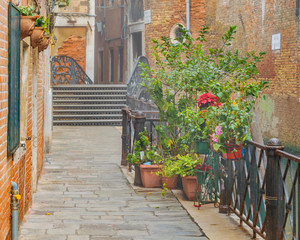 Urban Scene Venice Street