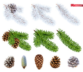 christmas trees and pine cones. 3d realistic vector icon set