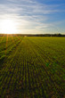 © photography112 - Sunset in Germany