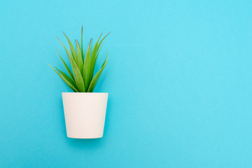 Artificial green flower with leaves in a pot on blue