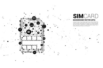 Poster - Vector Polygon dot connect line shaped sim card icon with functional icon. Concept for function of mobile sim card technology  and network.
