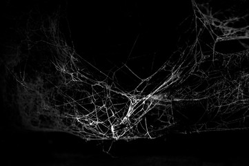 Cobweb closeup on black background