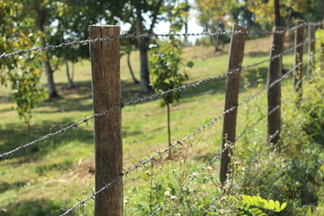 old wooden fence