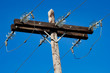 © veroja - Old simple rural weathered wooden utility pole with parallel cables and insulators on blue sky