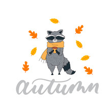 Cute Autumn Card With Racoon In Scarf And Cup Of Coffee. Autumn Vector Illustration With Lettering.