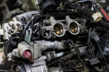 Wall Mural - Legendary modern sport engine in car with open hood