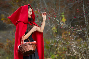 Wall Mural - Red Riding Hood cosplay in the forest