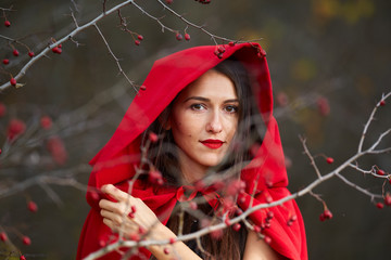 Wall Mural - Red Riding Hood cosplay in the forest