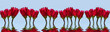 Panoramik Kırmızı Çiçekler ve Su