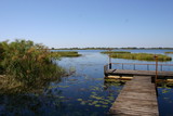 Fototapeta Pomosty - Okavango 10