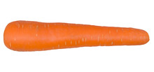 A Single Carrot Isolated On White Background With Clipping Path