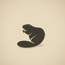 Beaver Animal
