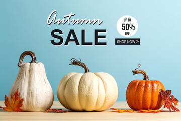 Wall Mural - autumn sale theme message with pumpkins on a blue background