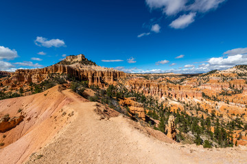 Wall Mural - Bryce Canyon's Fairyland Loop Trail 