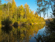 Autumn forest with a beautiful lake in sunny day. Bright colorful trees reflecting in calm water of the lake.