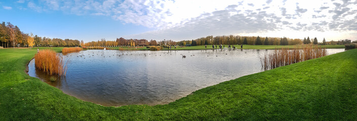 Wall Mural - Birds swim in the pond in autumn park, panorama