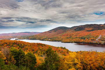 fall scene in the quebec cottage country with golden leaves and fall colors.