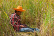 © motestockphoto - Farmer using computer laptop searching in the rice field.