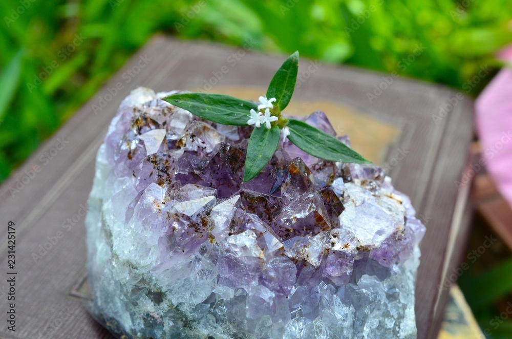 Natural Amethyst out in nature, in the grass. Spring time colors, bright and fresh. Crisp photography of Premium quality amethyst healing slab. Deep coloring, dark purple. Multiple terminations.