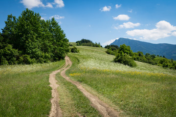 road in the countryside