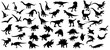 Dinosaur silhouettes set. Vector illustration isolated on white background